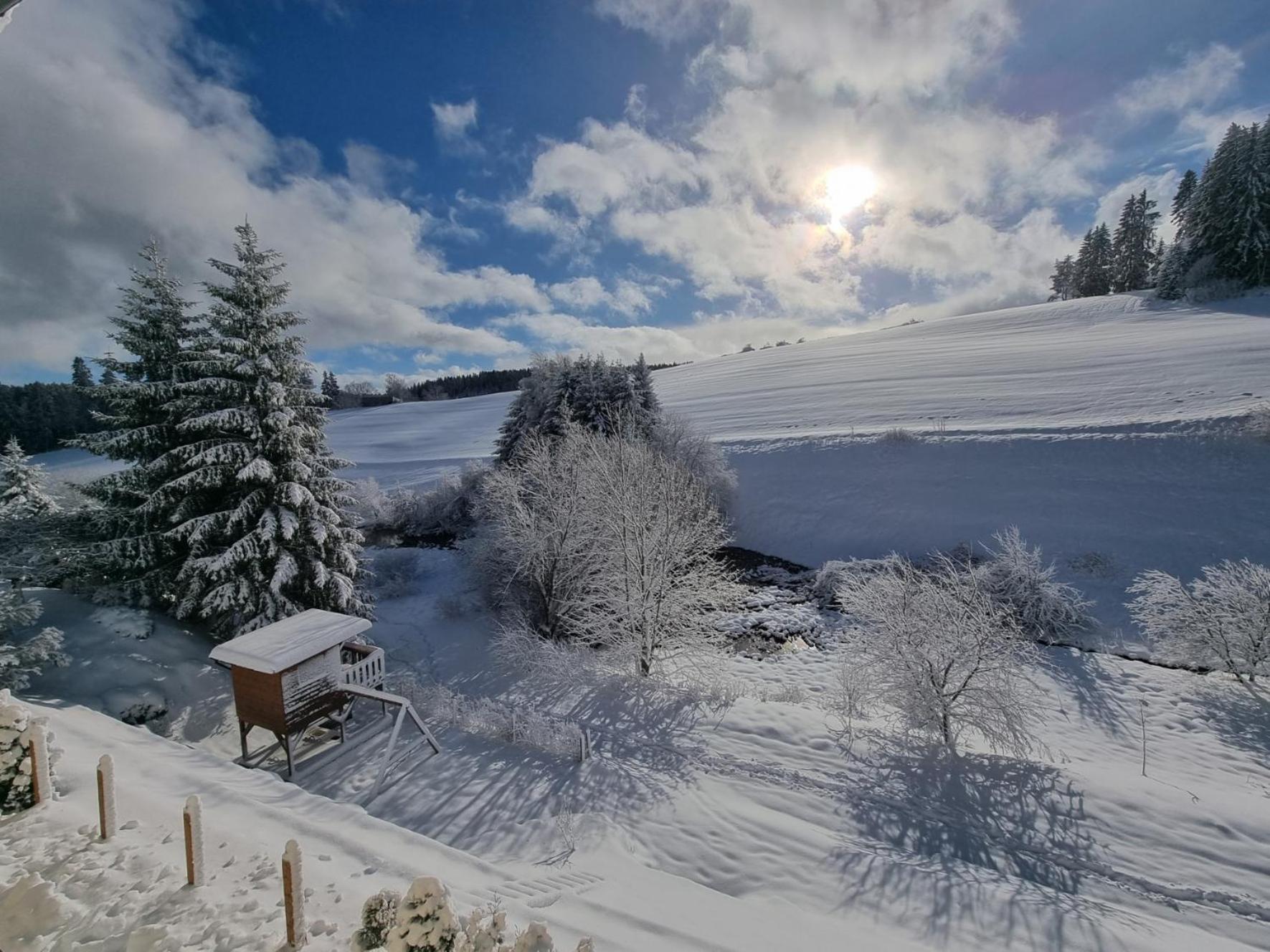 Ferienwohnung Am Bach Unterkirnach Buitenkant foto